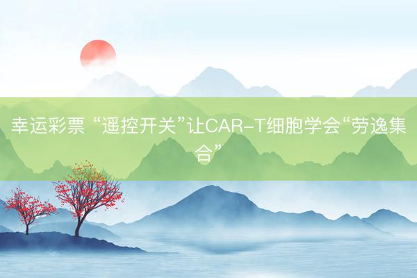 幸运彩票 “遥控开关”让CAR-T细胞学会“劳逸集合”
