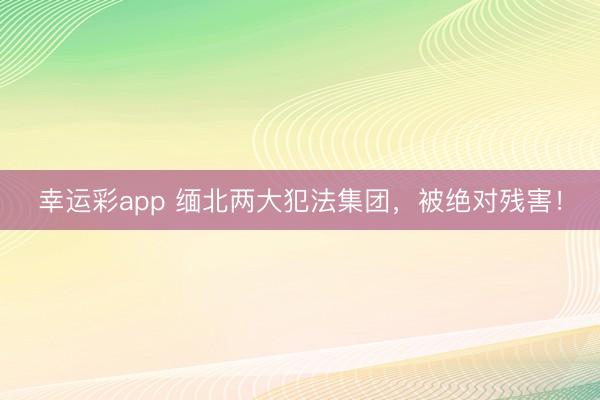 幸运彩app 缅北两大犯法集团,被绝对残害!